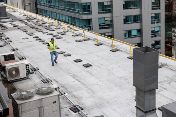 Best Roof Moss and Algae Removal  in Cupertino, CA